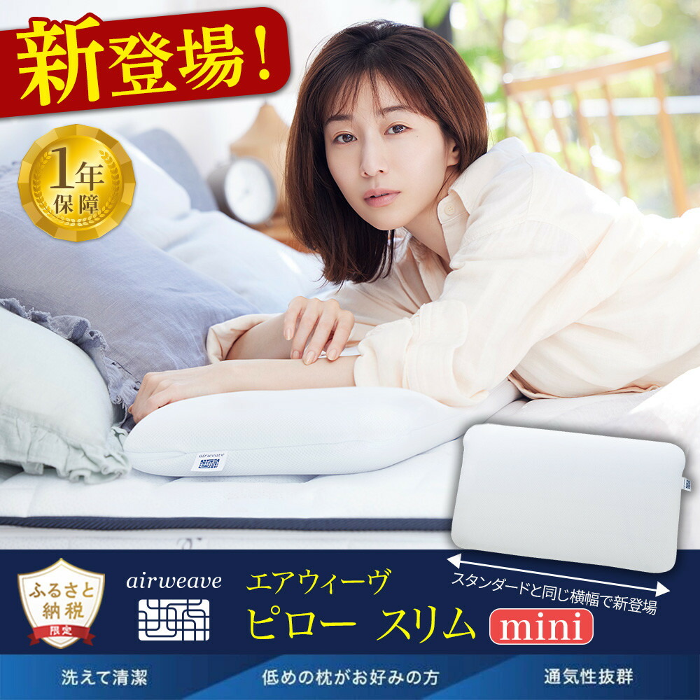 楽天市場】【ふるさと納税】エアウィーヴ キャリークッションmini