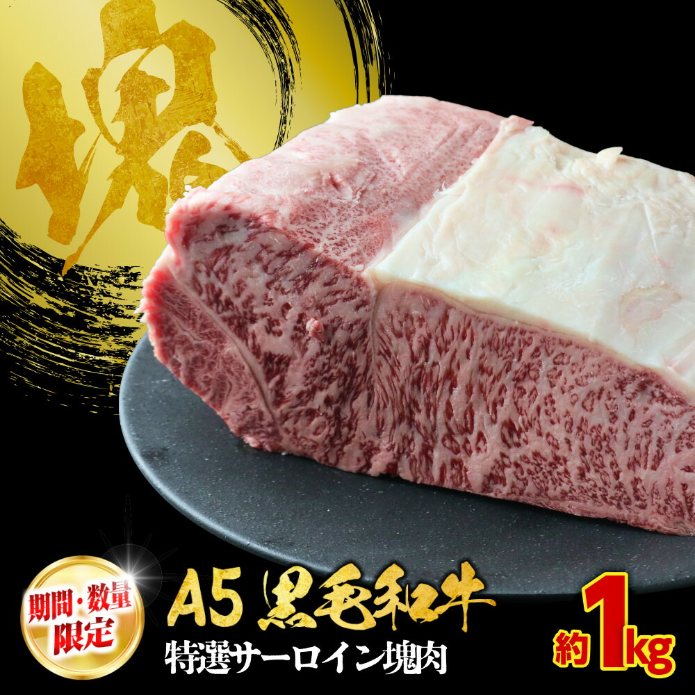 【ふるさと納税】【期間・数量限定】大府市特産　A5黒毛和牛特選サーロイン塊肉　1.0kg | 肉 牛肉 お肉 にく バーベキュー キャンプ パーティ アウトドア 黒毛和牛 冷凍 お取り寄せ グルメ 人気 おすすめ 事業者 生産者 支援 愛知県 大府市｜愛知県大府市
