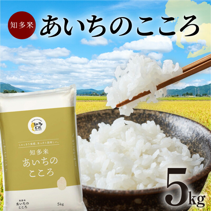 【ふるさと納税】知多米 あいちのこころ【5kg】お米 白米 国産 精米 ご飯 おにぎり ブランド米 rice 日本食 大粒 人気返礼品 美味しい 飯 愛知県 知多市 送料無料｜愛知県知多市