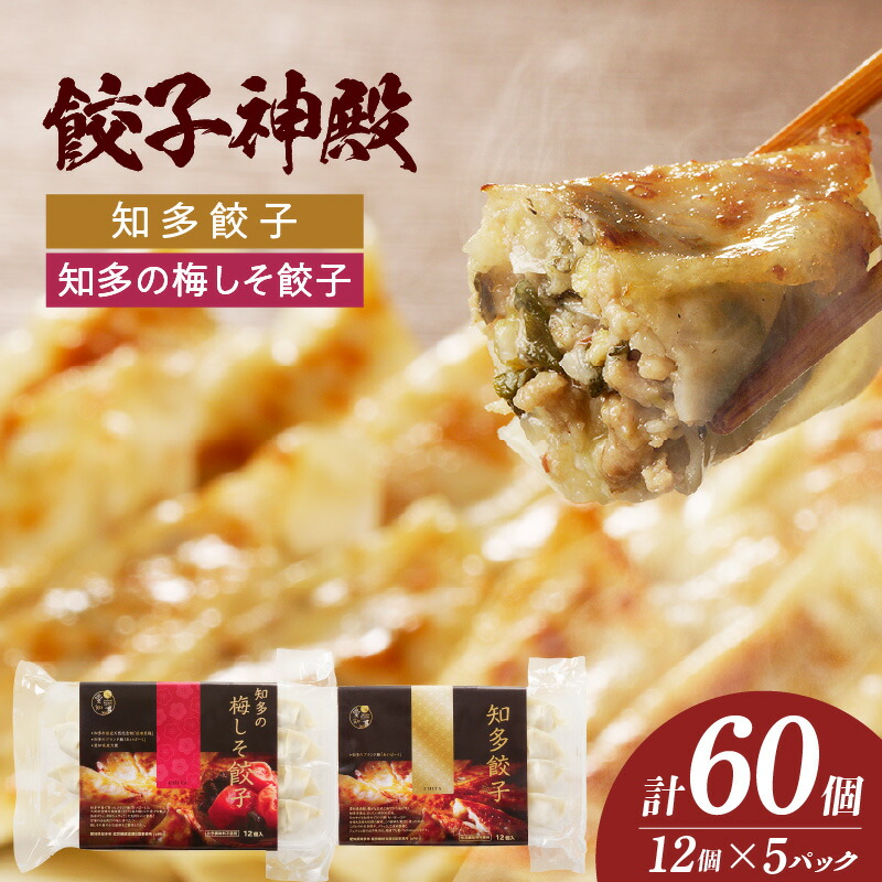 【ふるさと納税】知多餃子 知多の梅しそ餃子【選べる味・セット】 国産野菜使用 餃子 梅風味の餃子 冷凍 豚肉 あいぽーく 佐布里の梅 中華 惣菜 おかず グルメ 冷凍食品 送料無料