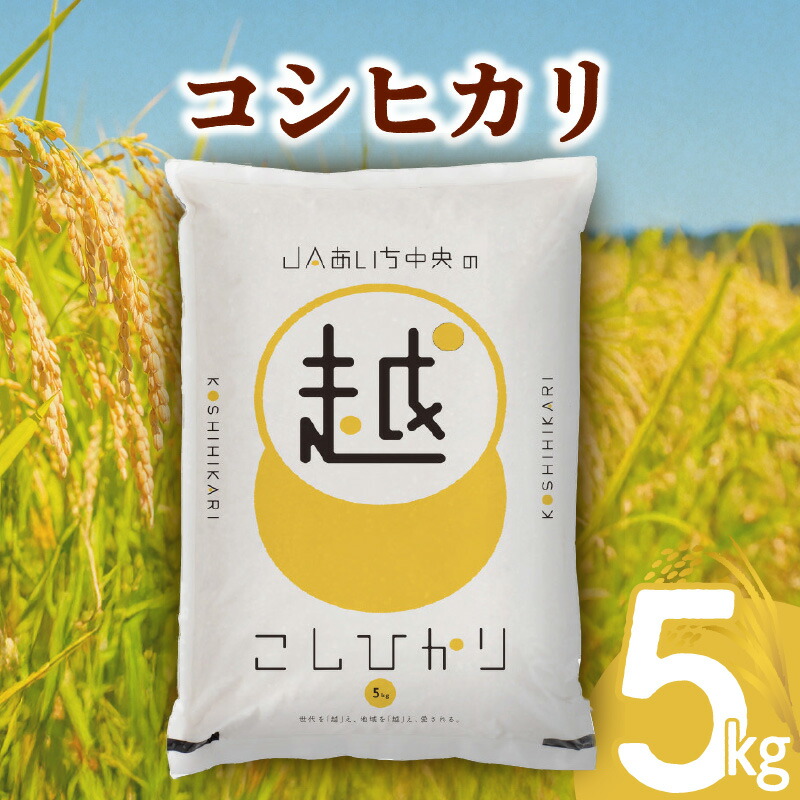 【ふるさと納税】愛知県産 コシヒカリ 5kg 【 令和6年度産 】お米 米 精米 白米 こしひかり ブランド米 芳醇な香り 贈り物 贈答 ギフト プレゼント お土産 お取り寄せ 国産 生鮮食品 食品 おにぎり 寿司 シャリ 常温配送 送料無料|愛知県高浜市