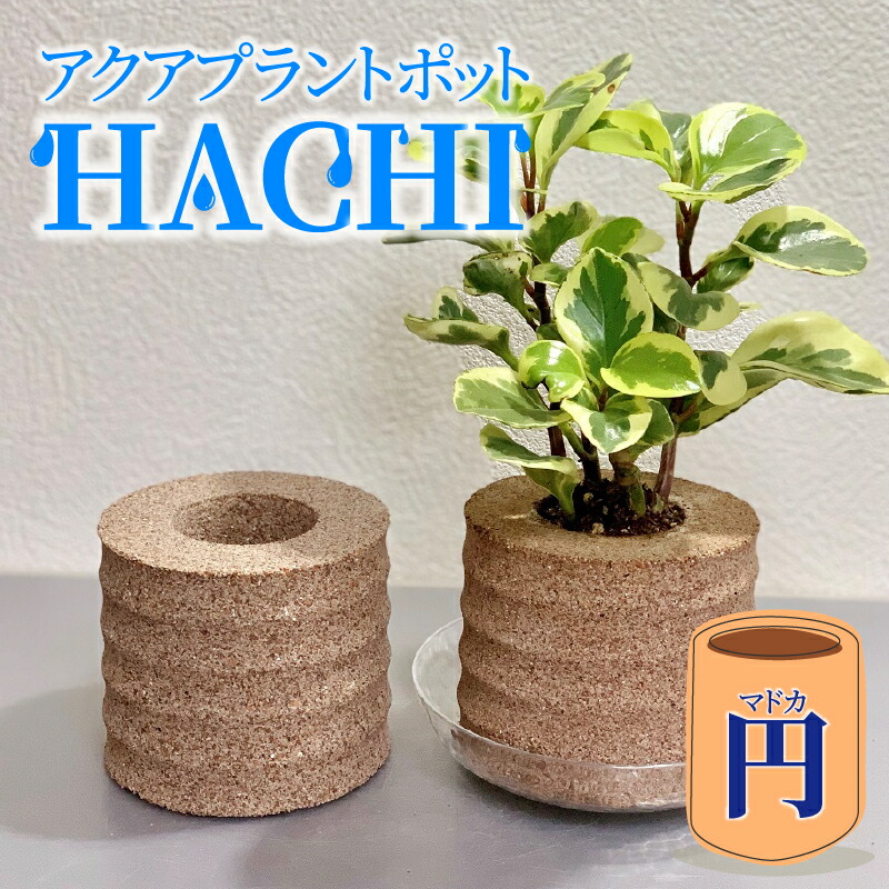 高浜市発！とっておきのお中元差し上げ物特集
