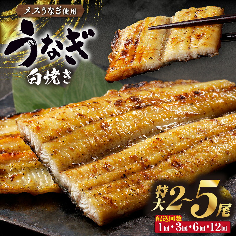 【ふるさと納税】高評価☆三河高浜産三代目 養鰻家 の白焼きうなぎ《 特大 》【選べる尾数とお届け回数（1回・定期便）】タレ付 めす鰻 碧海うなぎ マツコの知らない世界 愛知県産 白焼き 特大うなぎ 国産 うなぎ 肉厚 鰻 国産鰻 高級｜愛知県高浜市