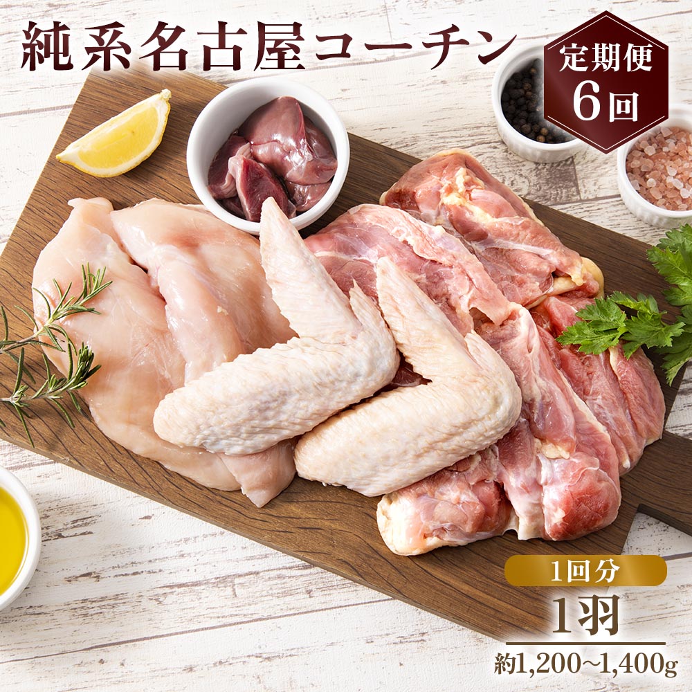 【ふるさと納税】純系名古屋コーチン 定期便 (1羽×6回)｜コーチン 鶏肉 鳥肉 とり肉 塊肉 定期便【0606】