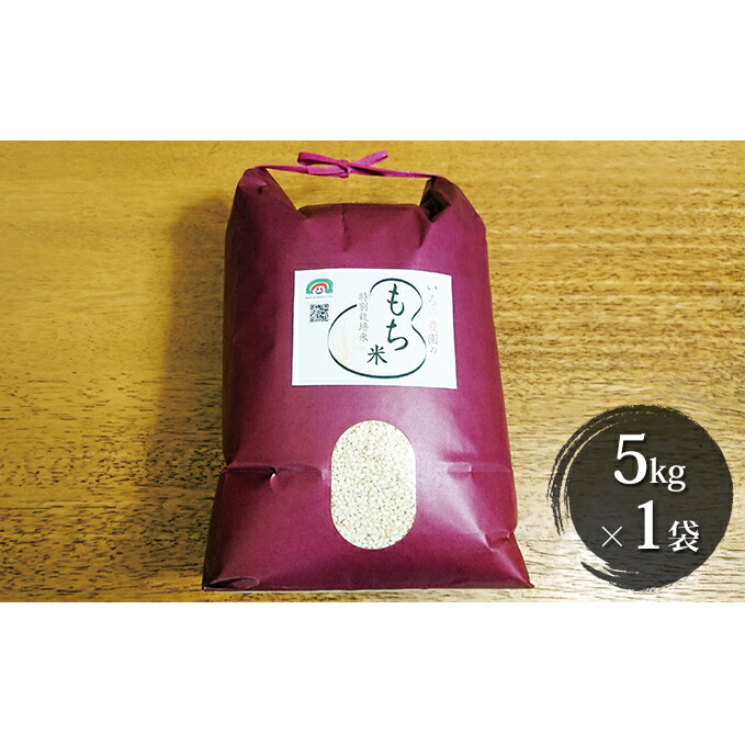 【ふるさと納税】特別栽培米　日進市産もち米　5kg×1 餅米 5kg