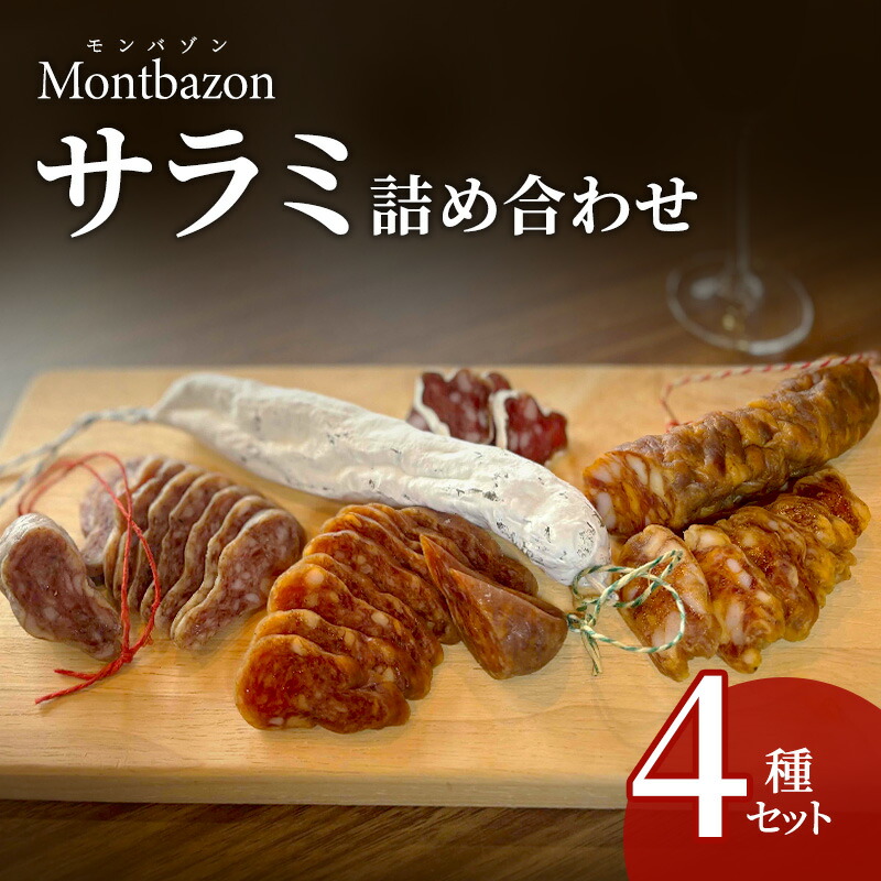 【ふるさと納税】サラミ 4種 セット ゴシック シャルキュトリー ソーセージ ウィンナー ウインナー 燻製 詰め合わせ ギフト 贈答 贈答品 肉 お肉 豚肉 豚 ポーク 熟成肉 加工食品 加工品 白カビ つまみ おつまみ 酒のつまみ 冷蔵 冷蔵配送 愛知 愛知県 日進市