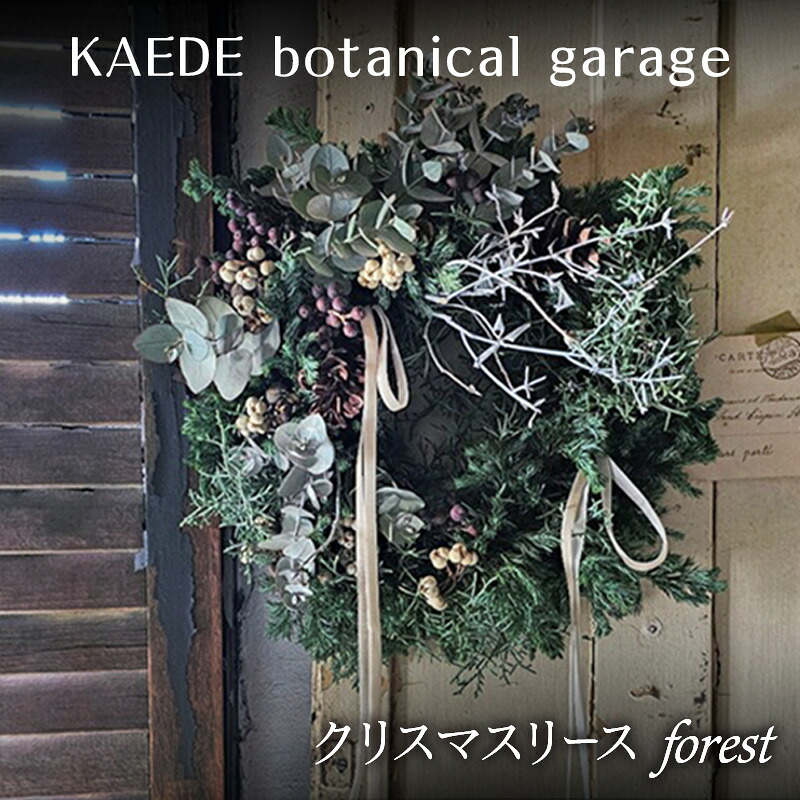 【ふるさと納税】クリスマスリース（forest）リース クリスマス 直径約30cm インテリア ドライフラワー 雑貨 プレゼント ギフト 贈り物 お部屋 玄関飾り 日進市 愛知県　お届け：2026年11月中旬から12月中旬まで｜愛知県日進市