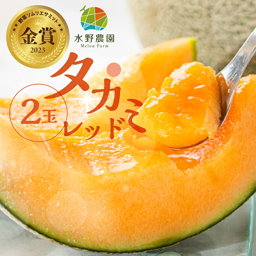 【ふるさと納税】 先行予約 2026年お届け 水野農園産タカミレッド　２玉 メロン めろん 先行受付 フルーツ 果物 お中元 お取り寄せ ギフト 渥美半島 田原市 産地直送 送料無料 農家直送 産直 ネット系メロン くだもの デザート メロン 糖度 メロン 赤肉メロン 9000円