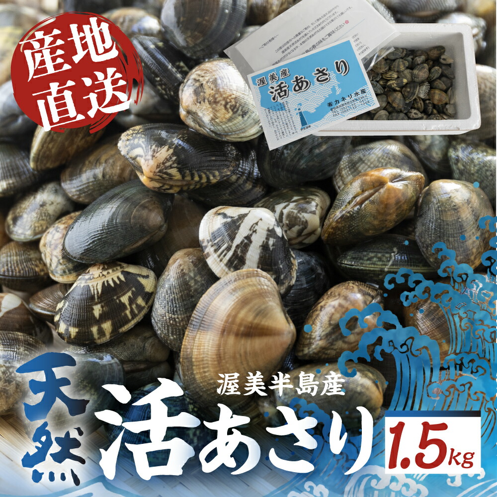 【楽天市場】【ふるさと納税】旬の渥美産 \高評価★4.6/ 天然 活あさり 1.5kg / 2kg 先行予約 あさり 国産 アサリ 採れたて 砂抜き 海鮮 魚介類 魚介 貝 送料無料 サイズ 不揃い 訳あり 産地直送 田原市 海産物 愛知県:愛知県田原市