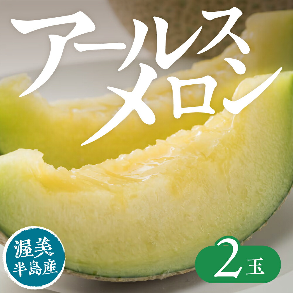【ふるさと納税】【先行予約】アールスメロン 2玉 入りメロン アールスメロン フルーツ 果物 愛知県 田原市 渥美半島 お取り寄せ ギフト 贈り物 プレゼント 贈答 贈答用 メロン 糖度 メロン 青肉