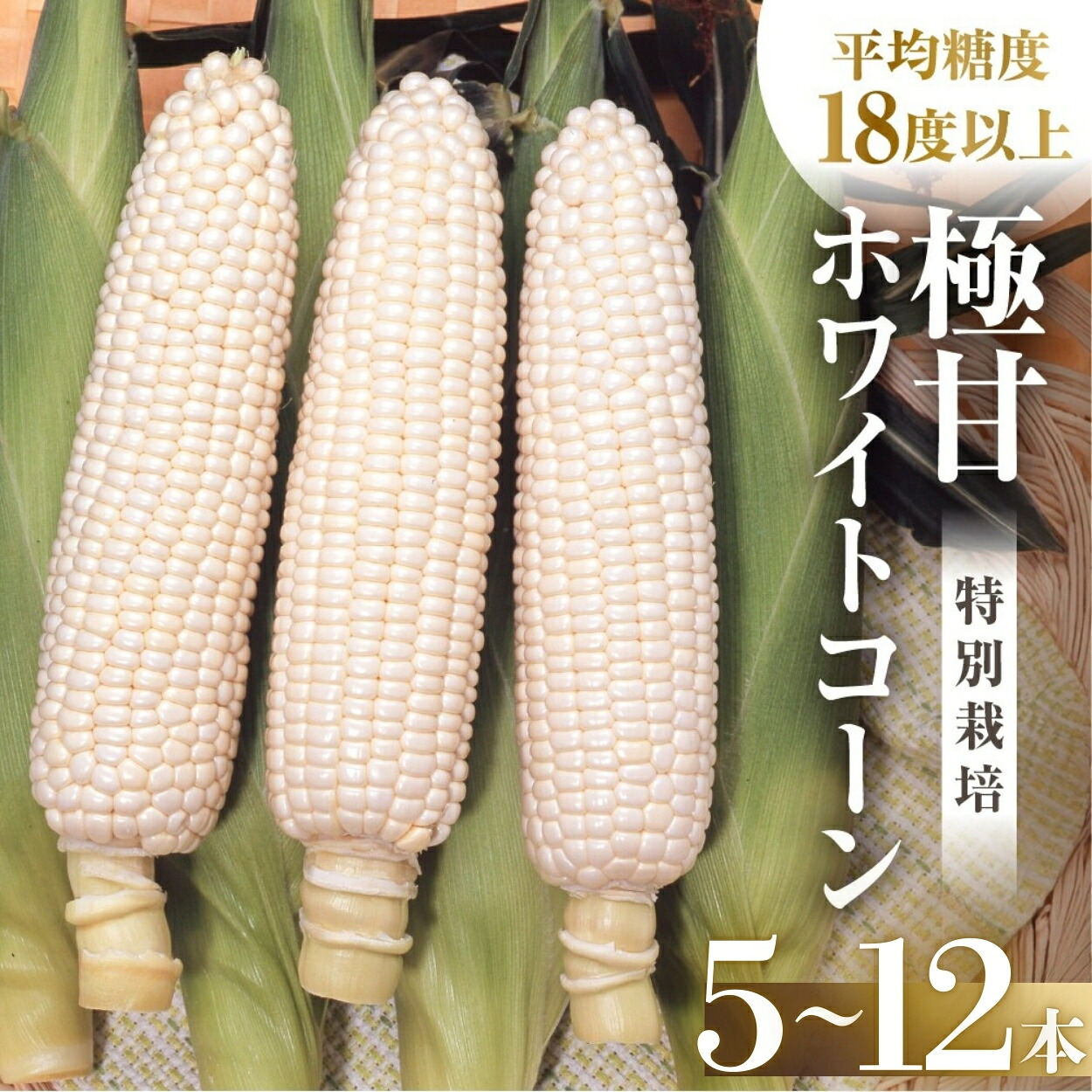 【ふるさと納税】【先行予約】2026年 渥美半島産　青木さんちのとうもろこし　ホワイトコーン 10本～12本 約4kg とうもろこし デザート 農家直送 送料無料 朝採れ コーン 野菜 キャンプ BBQ バーベキュー おやつ 田原市 渥美半島 愛知県 夏 旬