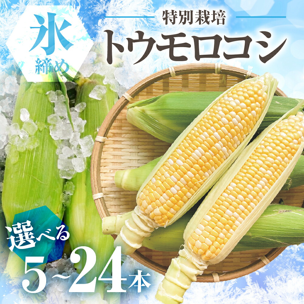 【ふるさと納税】【先行予約】2026年 氷締め 寺田さんち とうもろこし バイカラー 選べる本数 5本～24本 約4kg 渥美半島産 野菜 朝採れ デザート 農家直送 送料無料 朝採れ コーン 野菜 キャンプ BBQ バーベキュー おやつ 田原市 渥美半島 愛知県 夏 旬