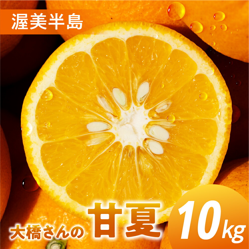 【ふるさと納税】大橋農園の 甘夏 10kg 甘夏 あまなつ 柑橘 柑橘類 フルーツ 果物 旬 マーマレード マーマレードジャム ゼリー に 愛知県 田原市 渥美半島