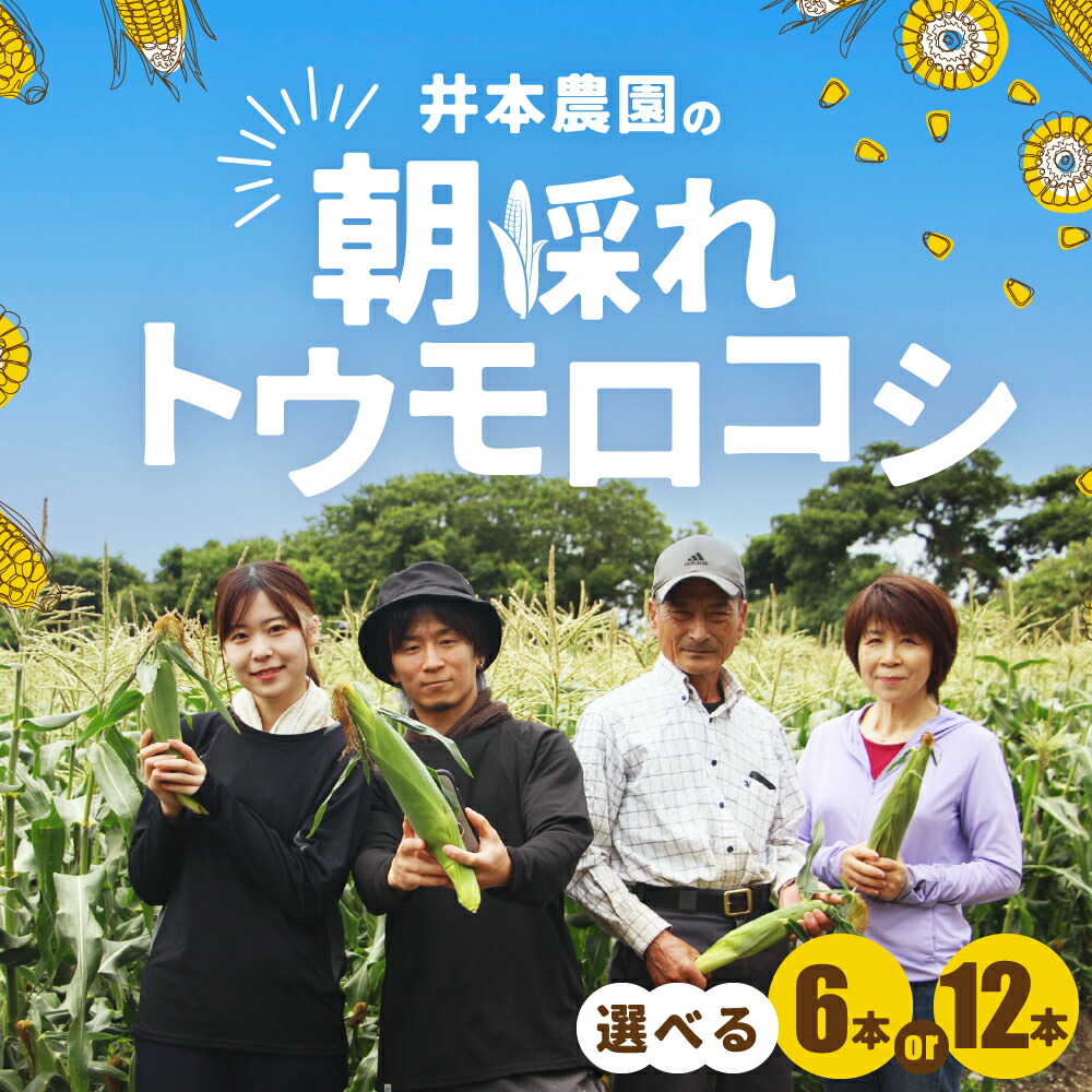【ふるさと納税】【先行予約】井本農園の朝採れトウモロコシ 12本 とうもろこし デザート 農家直送 送料無料 朝採れ コーン 野菜 キャンプ BBQ バーベキュー おやつ 田原市 渥美半島 愛知県 夏 旬