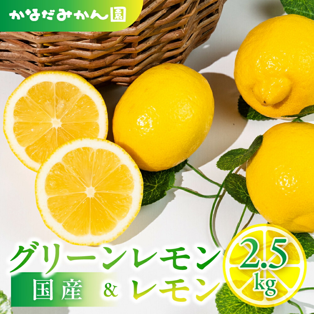 【ふるさと納税】旬のレモン 2.5kg レモン グリーンレモン 檸檬 緑 グリーン レモン 柑橘 柑橘類 フルーツ 果物 旬 レモネード レモン ケーキ レモンティー に 愛知県 田原市 渥美半島