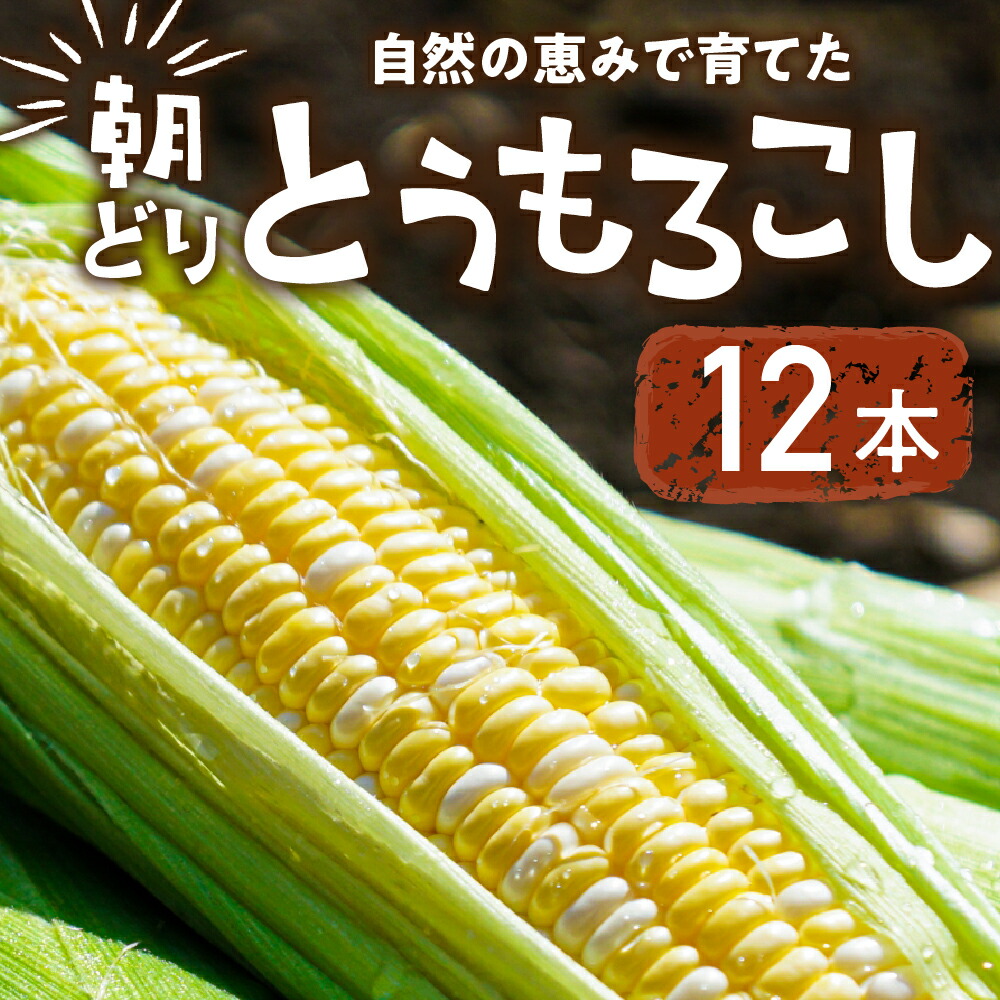 【ふるさと納税】【先行予約】自然の恵みで育った 朝どりとうもろこし 6本～12本 とうもろこし 朝採り トウモロコシ コーン 農家直送 旬 期間限定 野菜 ノンケミカル 6月 7月 愛知県 田原市 渥美半島 冷蔵 送料無料