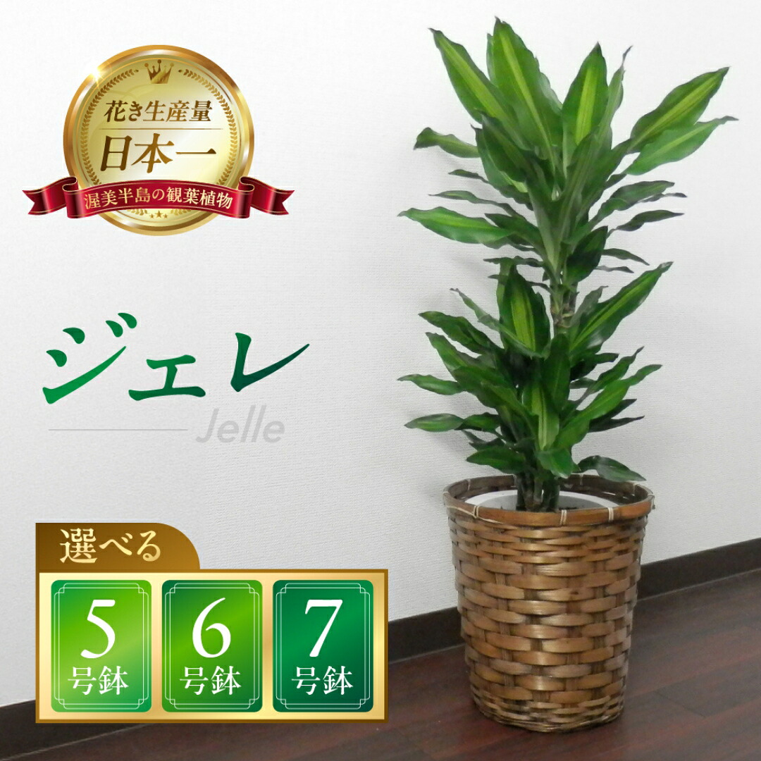 春を先取り！「常春のエデンの園」田原市の生まれ育ついちご＆ぷりぷり生まれながらあさり