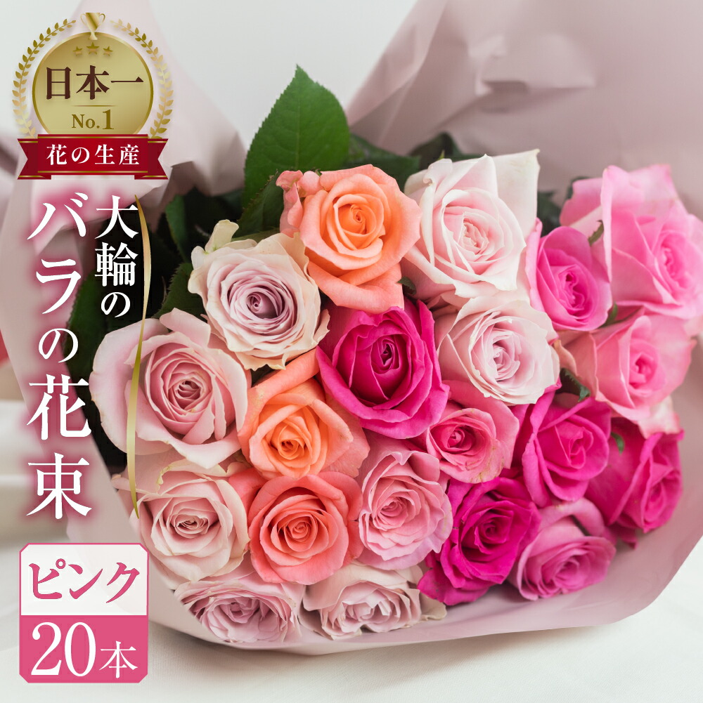期間限定特価！　特大芸術写真 A2バラ 薔薇 ROSE 額付 70 X 79 園芸ネット本店｜バラ（四季咲き大輪）：天使の愛矢大苗（産地直送品