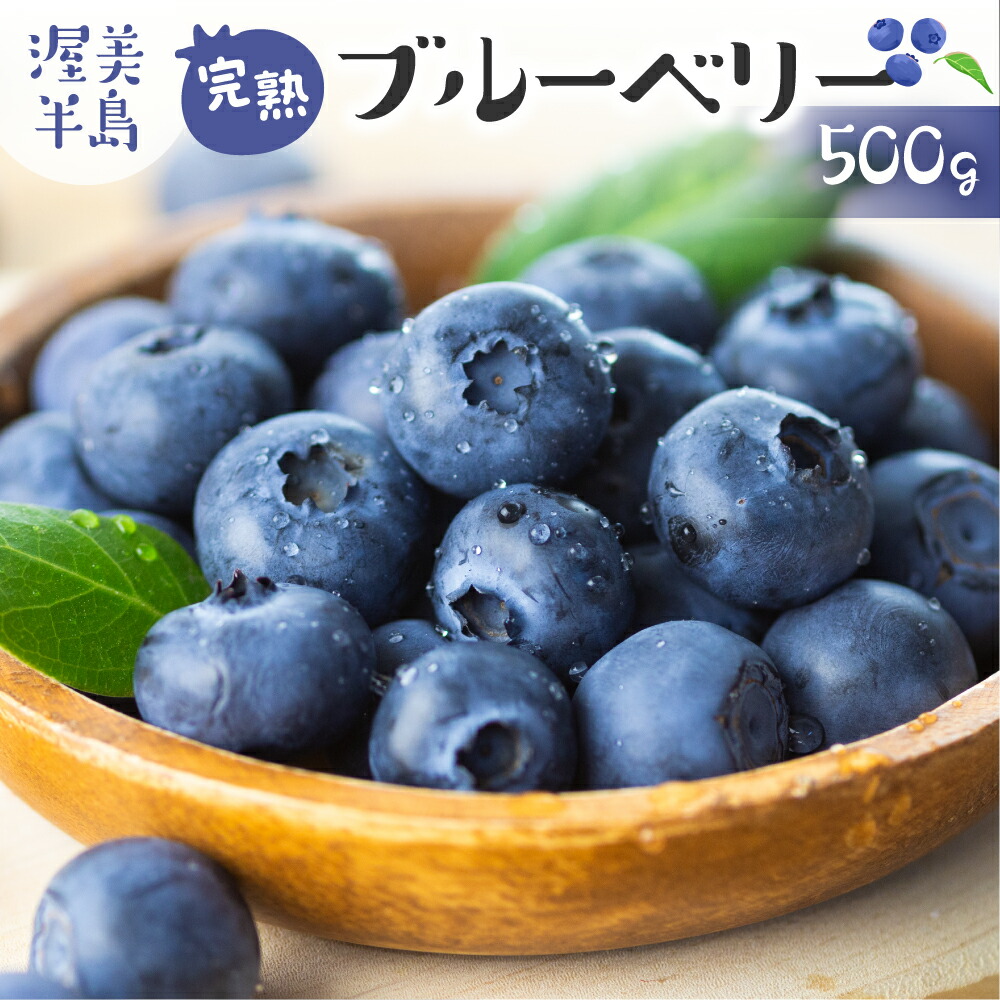 【ふるさと納税】 先行予約 完熟ブルーベリー 500g フルーツ 手摘み スイーツ 期間限定 数量限定 入手困難 ジャム 健康 大粒 旬 果物 くだもの 厳選 直送 新鮮 お菓子 素材