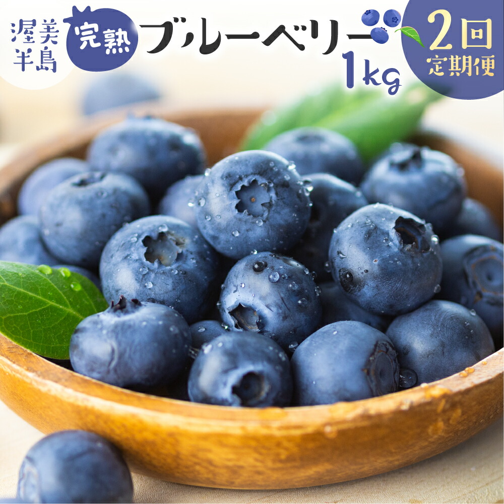 【ふるさと納税】2025年 先行予約 完熟ブルーベリー 1kg 2回 定期便 フルーツ 手摘み スイーツ 期間限定 数量限定 入手困難 ジャム 健康 大粒 旬 果物 くだもの 厳選 直送 新鮮 お菓子 素材