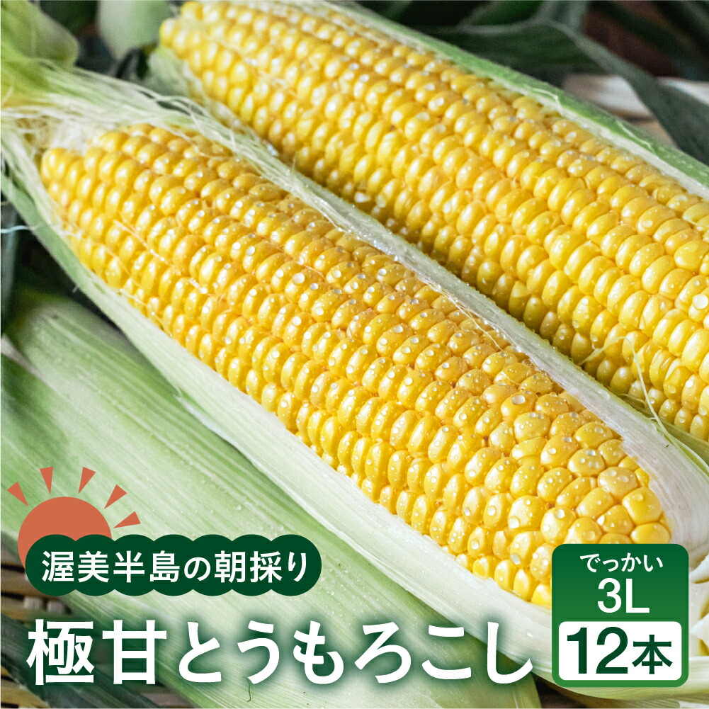 【ふるさと納税】【先行予約】 朝採り極甘 とうもろこし 3Lサイズ 12本 渥美半島産 愛知県田原市 トウモロコシ 産地直送 ビックサイズ