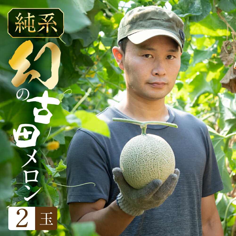 【ふるさと納税】＼毎年完売★5／ 古田メロン 2玉 石井農園 【先行予約】  2025年7月上旬発送開始 稀少な品種 純系 メロン  純系 箱詰め メロン めろん フルーツ 果物 お取り寄せ 渥美半島 産地直送 幻 希少品 田原市 送料無料  高糖度