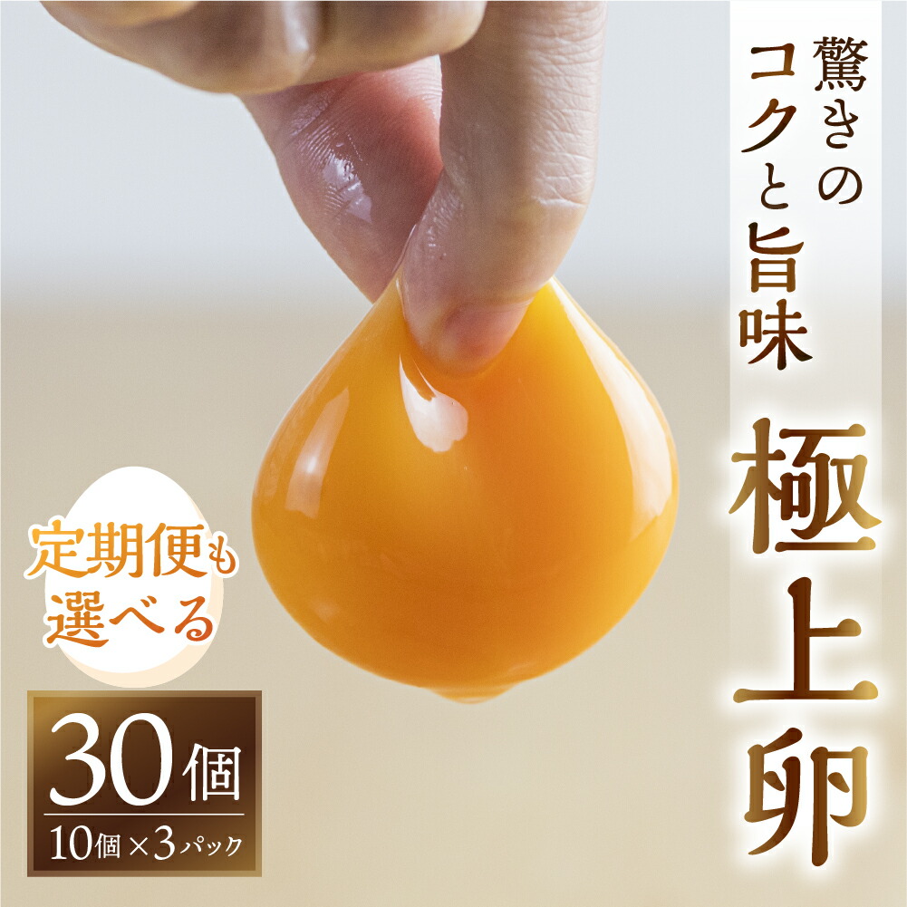 【ふるさと納税】感動 ＼高評価★5／ 極上卵 30個 割れ保証付き たまご カミヤタマゴ 選べる回数 1回 定期便 3回 6回 12回 たまこちゃん 卵 鶏卵 玉子 たまごかけご飯 お取り寄せ 小分け 生卵 濃厚 高級  玉子 毎月 定期 どうまい 人気 濃厚 6000円 18000円 36000円 72000円