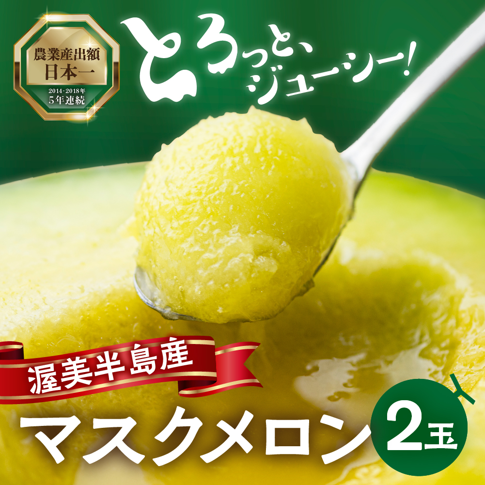 【ふるさと納税】父の日ギフト 先行予約 メロン 2玉 マスクメロン  (1玉 1.5kg以上) 渥美半島産   マルカ農園 メロン めろん 箱詰め フルーツ 果物 愛知県 田原市 産地直送 夏 10000円 1万円 メロン 糖度 メロン 青肉