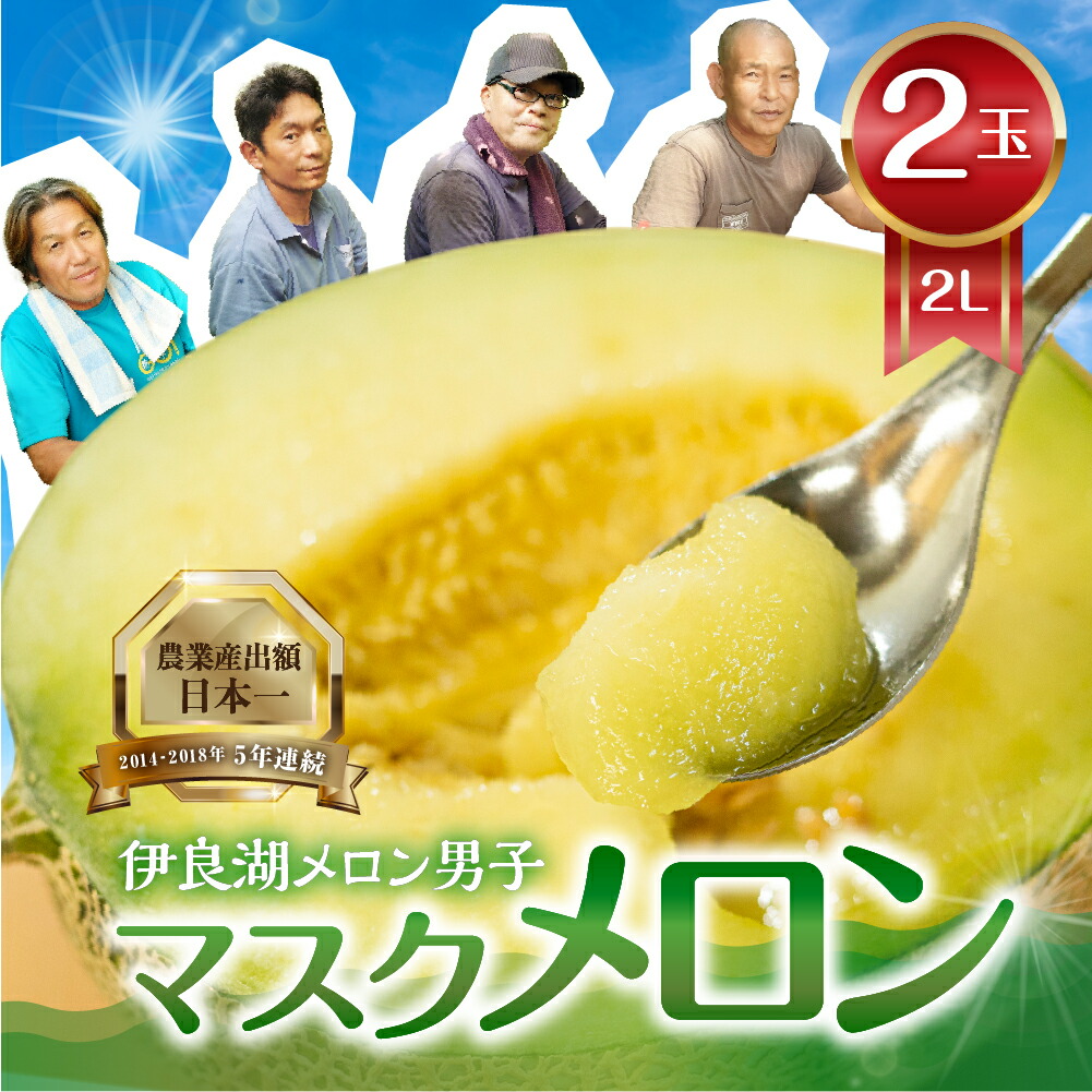 【ふるさと納税】 ＼大満足の高評価★4.6／ 伊良湖 メロン 男子のマスクメロン 2玉 2Lサイズ 伊良湖産  【先行予約】訳あり マスクメロン 箱詰め フルーツ 果物 8月 お取り寄せ 渥美半島 田原市 産地直送 夏 レビュー 人気 メロン 糖度 メロン 青肉