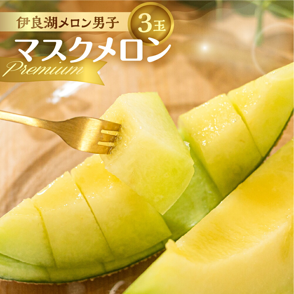 【ふるさと納税】 先行予約 メロン 伊良湖産 マスクメロン 限定品 3玉 プレミアム 箱詰め フルーツ 果物 お中元 お取り寄せ ギフト 渥美半島 田原市 伊良湖メロン男子 産地直送 送料無料 メロン 糖度 メロン 青肉 21,600円