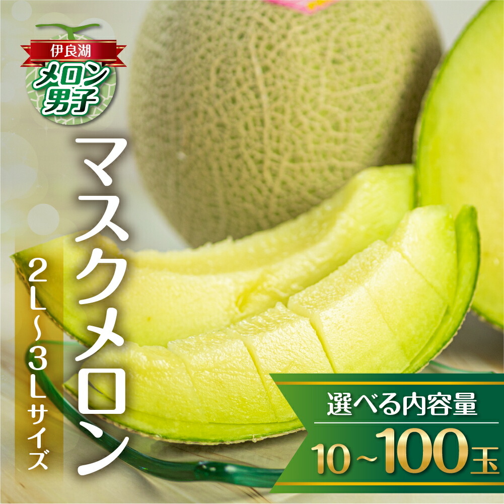 【ふるさと納税】先行予約 選べる内容量 伊良湖産 マスクメロン 5玉入り 2～3Lサイズ 大容量 箱詰め メロン フルーツ 果物 お中元 お取り寄せ ギフト 渥美半島 田原市  伊良湖メロン男子 産地直送 送料無料 おすそ分け メロン 糖度 メロン 青肉