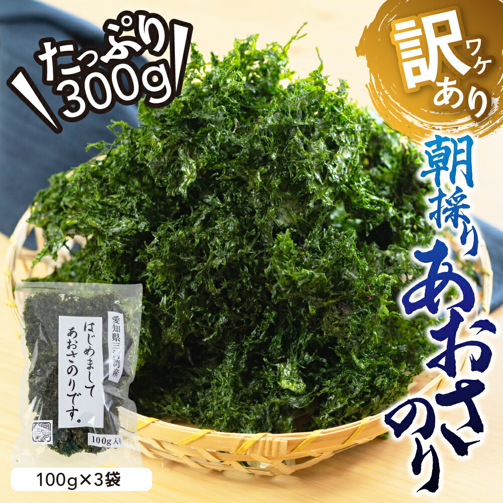 【ふるさと納税】訳あり あおさ 300g ＼大満足の★5／ 100g×3袋 簡易包装  愛知県 三河湾産  「はじめまして あおさのり です。」あおさ海苔 海苔 味噌汁 みそ汁 具 海藻類 アオサ 訳アリ 大容量  送料無料 国産 食品 田原市 人気