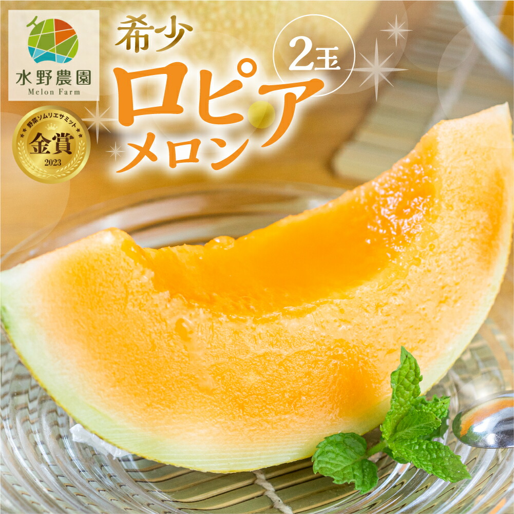 【ふるさと納税】 先行予約 ロピアメロン 2玉 水野農園 2025年6月中旬以降 順次発送 メロン めろん 赤肉 レッド 旬 先行受付 フルーツ 果物 お中元 お取り寄せ ギフト 渥美半島 田原市  産地直送 送料無料