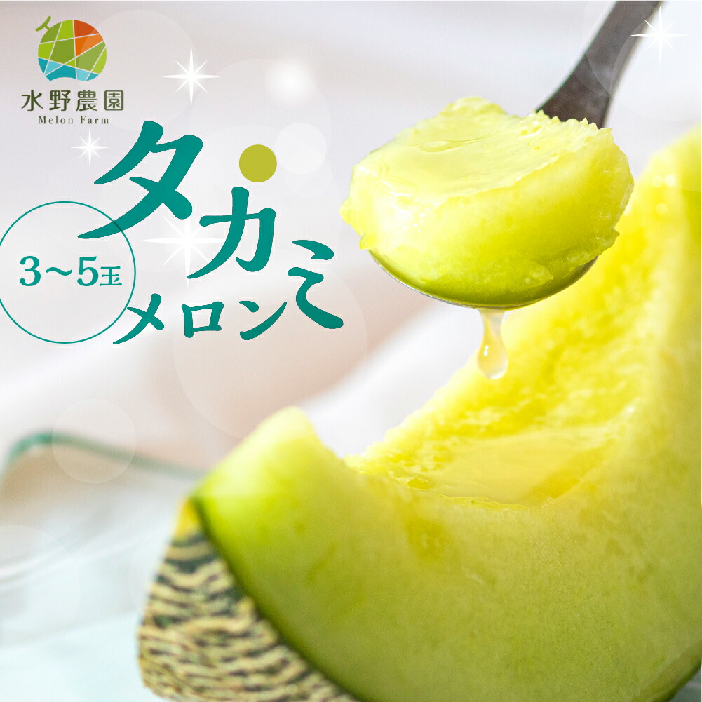 【ふるさと納税】 先行予約 タカミメロン 2玉 / 3～5玉 5kg 水野農園 2025年7月以降順次発送 メロン めろん 先行受付 フルーツ 果物 お中元 お取り寄せ ギフト 渥美半島 田原市  産地直送 送料無料 メロン 糖度 メロン 青肉