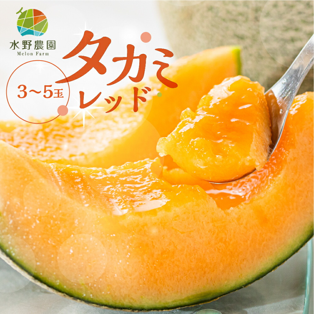 【ふるさと納税】 先行予約 タカミレッド メロン 5kg (3～5玉) 水野農園 2025年6月中旬以降 順次発送  めろん 先行受付 フルーツ 果物 お中元 お取り寄せ ギフト 渥美半島 田原市  産地直送 送料無料
