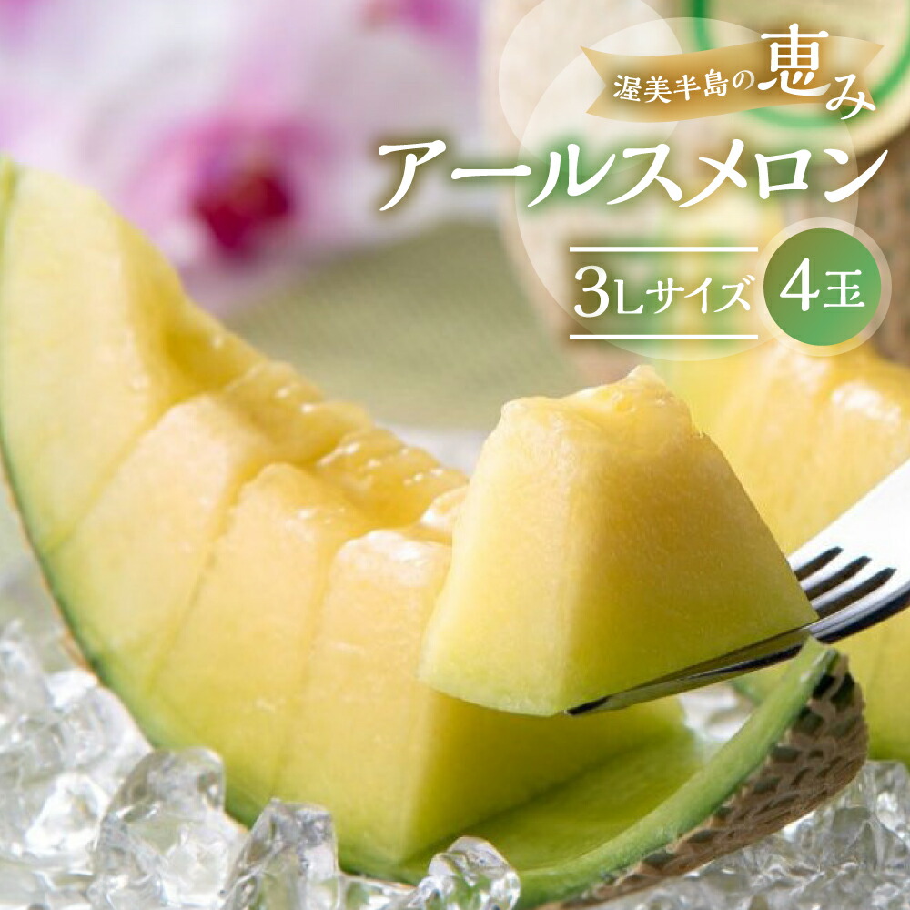【ふるさと納税】先行予約 日研農園 アールスメロン 3L×4玉入 ／ メロン めろん フルーツ 果物 ジューシー 愛知県 特産品 箱詰め フルーツ 果物 8月 お取り寄せ 渥美半島 田原市 産地直送 夏 送料無料 メロン 糖度 メロン 青肉 ド甘い 暑さ 対策 暑さ対策 16,790円