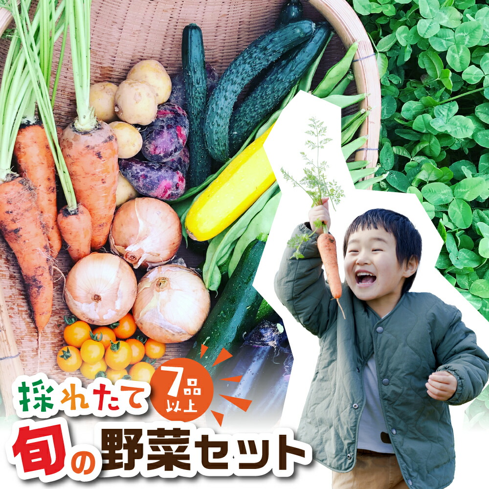 【ふるさと納税】旬の野菜 7品目以上 金賞受賞 旬彩野菜セット 7品目 レシピ付き お届け 国産 新鮮 農薬不使用 化学肥料不使用 産地直送 こだわり野菜 送料無料