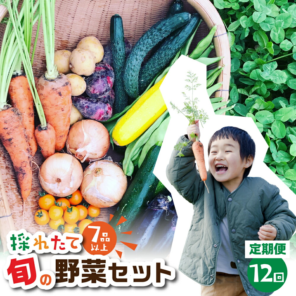 【ふるさと納税】金賞受賞 旬彩野菜セット 12回 定期便 旬の野菜 7品目以上 レシピ付き お届け 国産 新鮮 農薬不使用 化学肥料不使用 野菜ソムリエ 旬の目利き 高評価 安心 安全 農家直送 直送 産地直送 こだわり野菜  どうまい