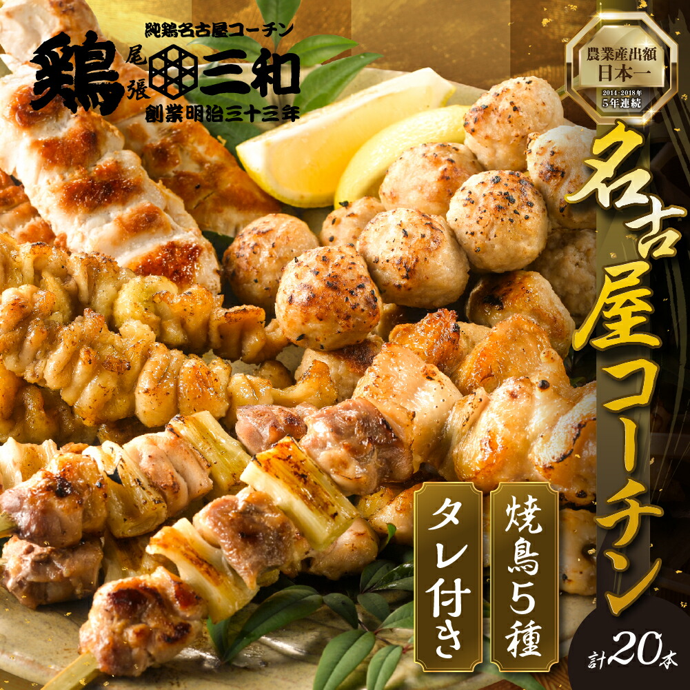 【ふるさと納税】【父の日お届け】高評価 ☆4.8 鶏三和 焼き鳥 串 5種 20本 名古屋コーチン たれ付き 発送時期が選べる （ももねぎま・ささみ・ぼんじり・皮 / つくね串）各4本 地鶏 焼鳥 鶏肉 肉 おつまみ やきとり さんわ  田原市 人気 小分け 炭火焼き にも