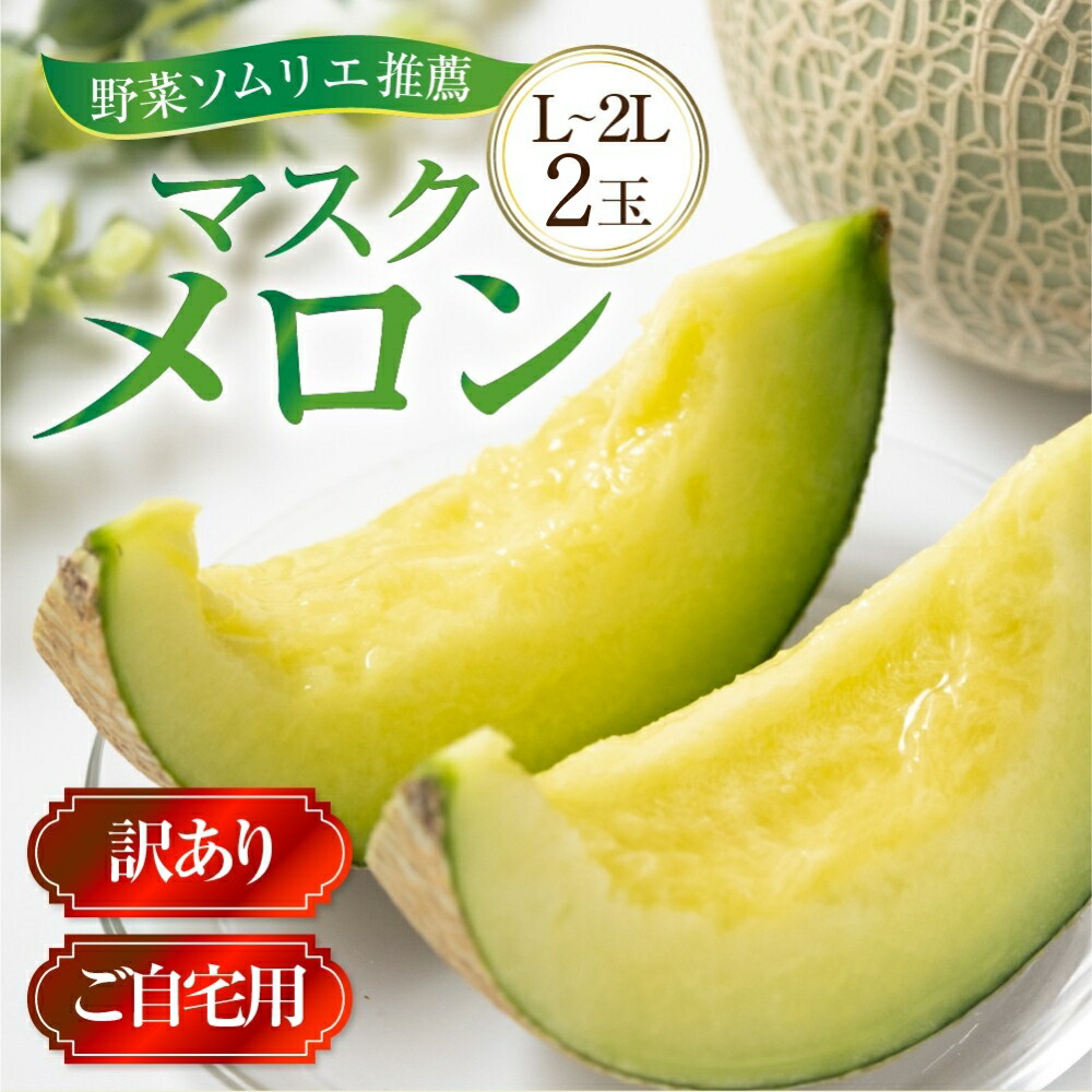 【ふるさと納税】 先行予約 訳ありマスクメロン Ｌ～2L 2玉 7月～8月中旬お届け メロン 野菜ソムリエ推薦 数量限定   渥美半島 伊良湖潮風育ち 田原市 ご自宅用 お取り寄せ 産地直送 送料無料 訳あり マスクメロン メロン フルーツ 果物 メロン 糖度 メロン 青肉 農家直送
