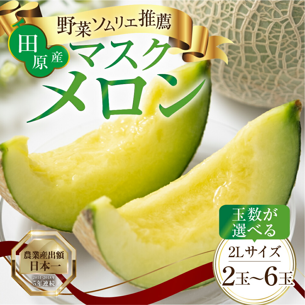 【ふるさと納税】 渥美半島 マスクメロン 高評価★4.7 / 先行予約 / 選べる玉数 2玉 3玉 5玉 6玉 2L～3L サイズ メロン 発送時期が選べる カラーギフト箱入り 大玉 めろん フルーツ 秀品 愛知県 田原市 伊良湖産 ギフト プレゼント 人気 メロン 糖度 メロン 青肉