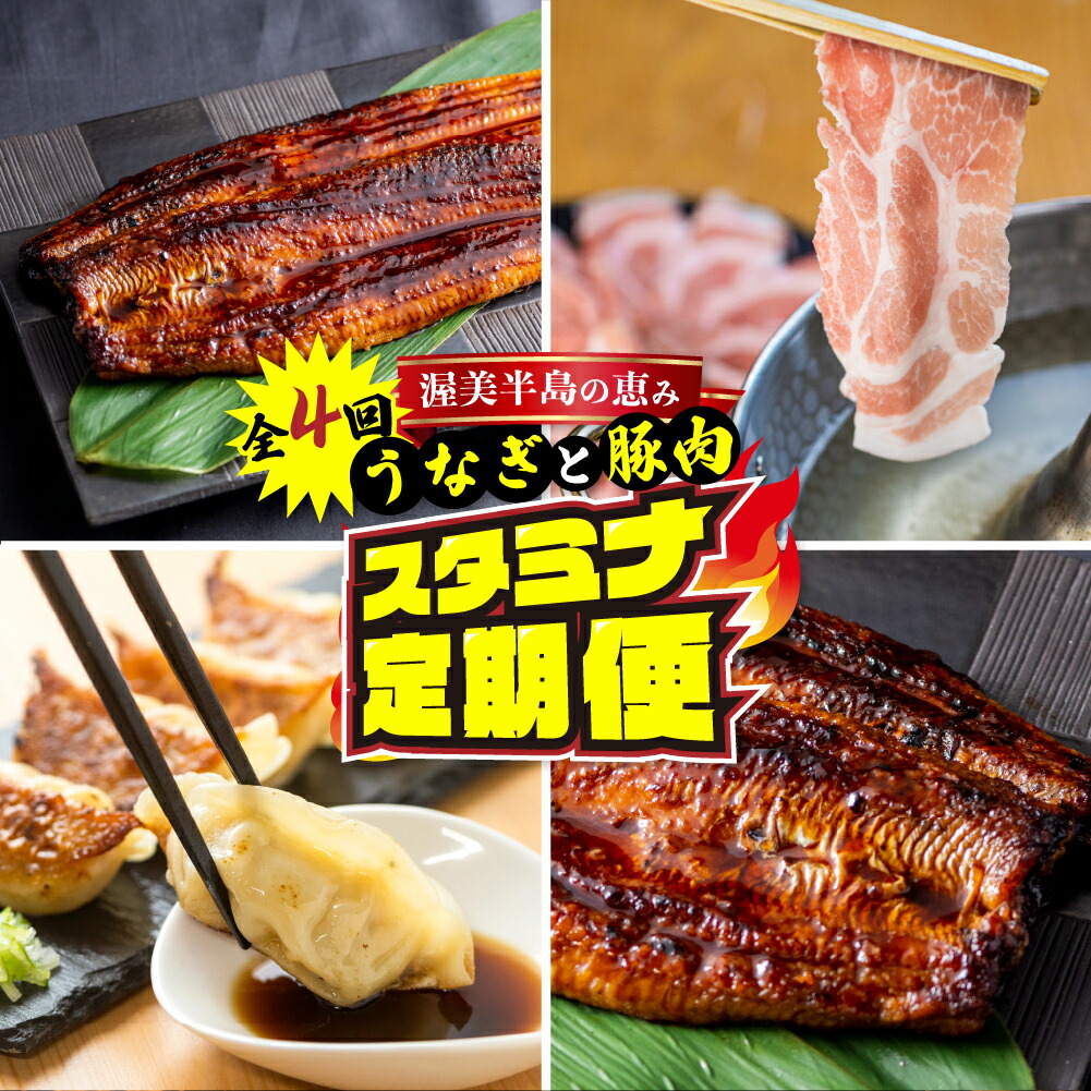 【ふるさと納税】渥美半島の恵み スタミナ 定期便 4回 ( うなぎ / 豚肉 / 餃子 / うなぎ) 惣菜 4ヶ月 魚 鰻 ウナギ 蒲焼 豚 ポーク 丼 ブランド お楽しみ 海の幸 人気 愛知県 田原市  どうまい