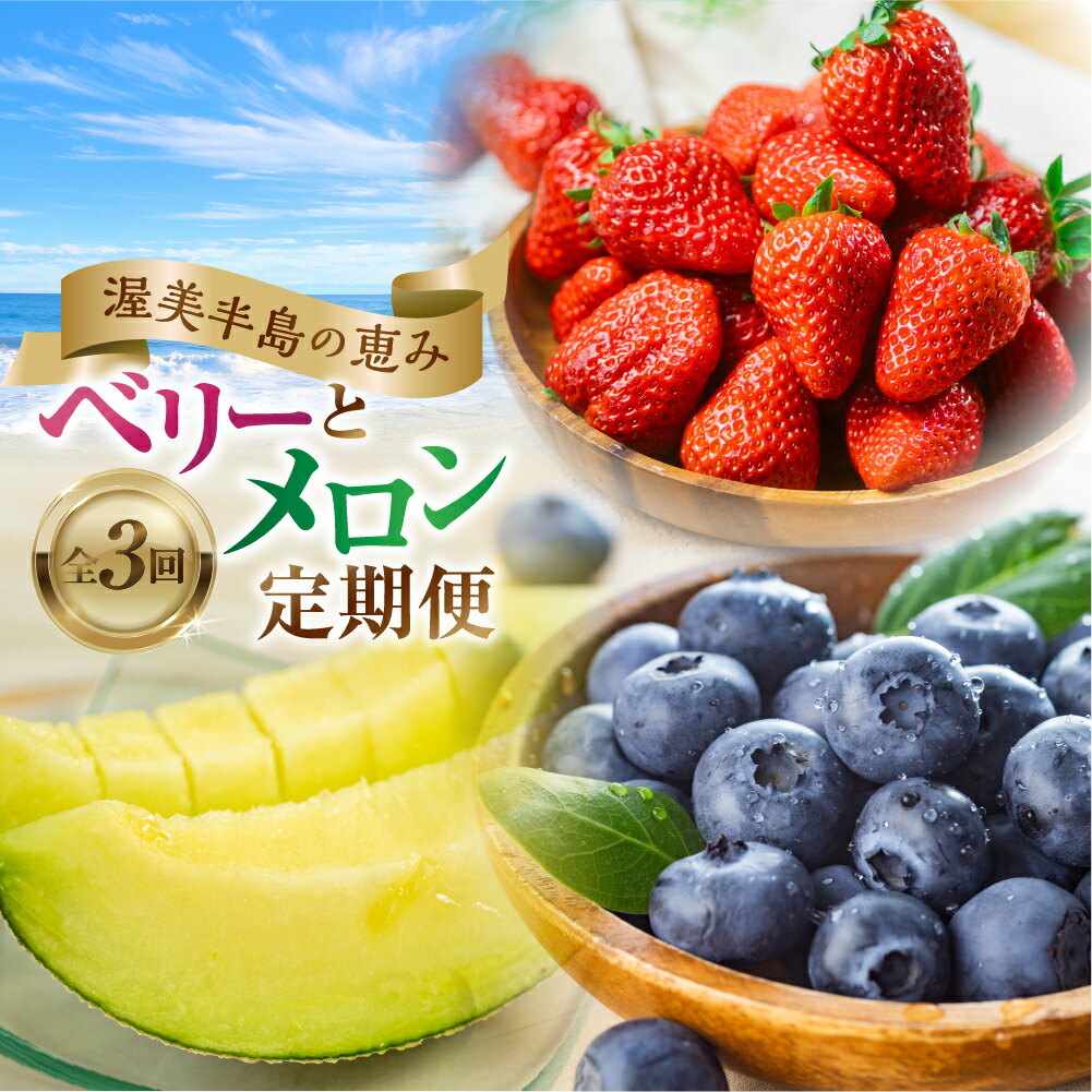 【ふるさと納税】渥美半島の恵み フルーツ 定期便 ( いちご / ブルーベリー / メロン ) 果物 3回 旬 苺 紅ほっぺ 高糖度 こだわり 人気 高評価 くだもの  フルーツ定期便 果物定期便 ベリー 先行予約 愛知県 田原市 送料無料