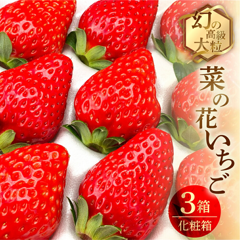 ぱ*こ様 ♈️ 854 ⭐️２段 色分け花弁⭐️ふんわり春色⭐️レモンいちごミル ぱ*こ様 ♈️ 854 ⭐️2段 色分け花弁⭐️ふんわり春色⭐️レモン