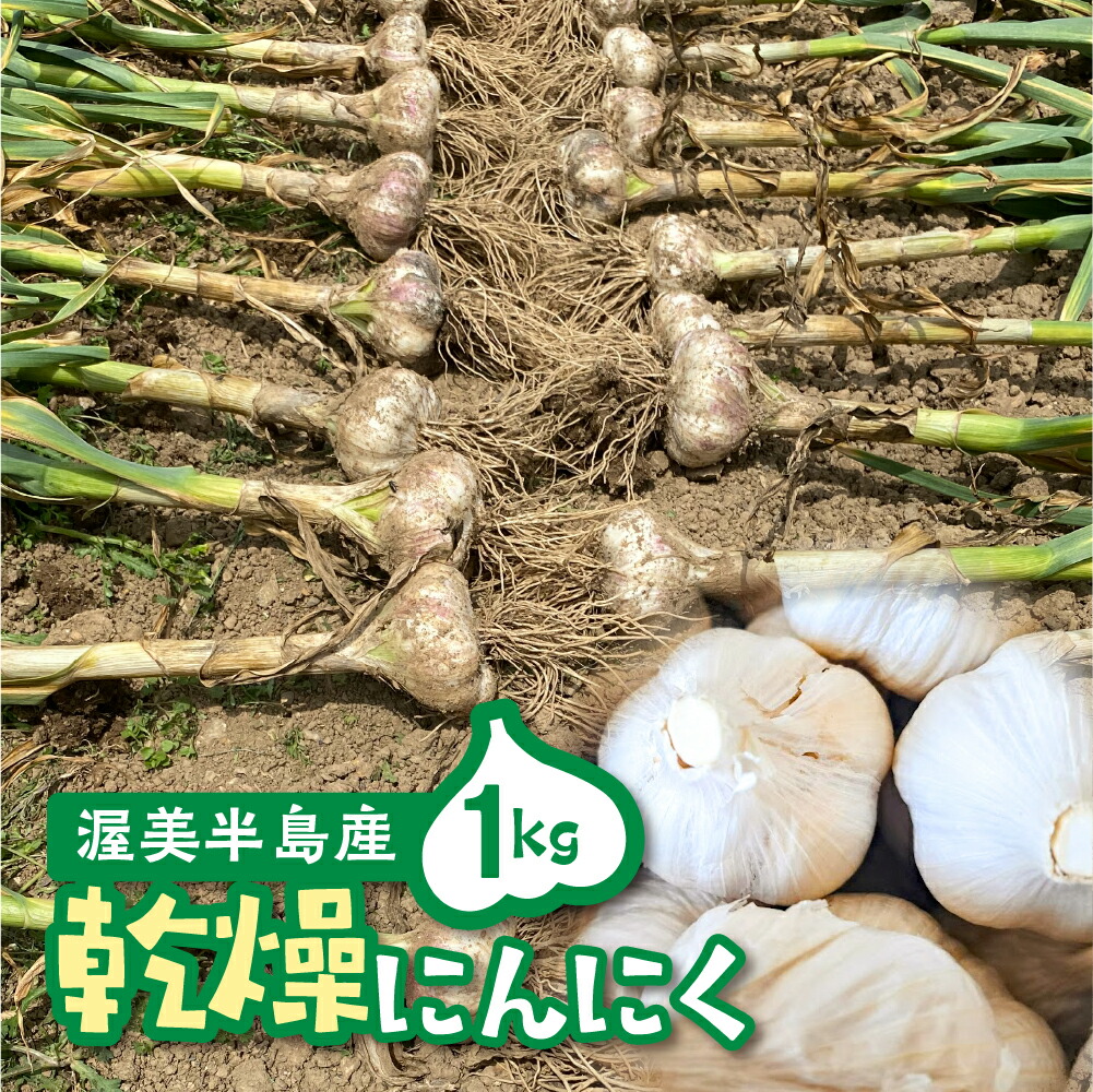 楽天市場】【ふるさと納税】訳あり 渥美半島産 ニンニク （生）１ｋｇ 簡易包装 にんにく 国産にんにく 平戸にんにく 愛知県 田原市 : 愛知県田原市