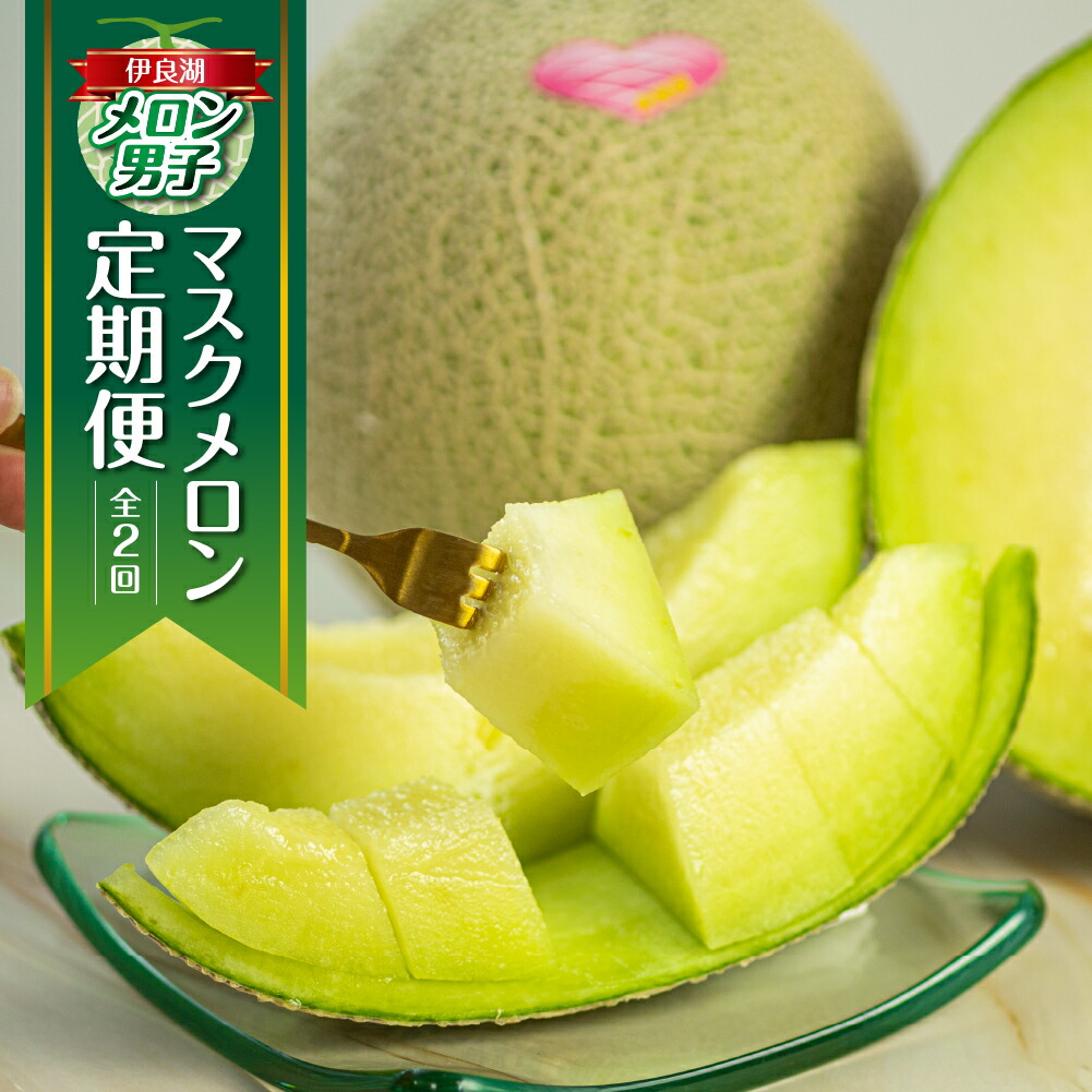 【ふるさと納税】【定期便】先行予約 マスクメロン 2回  伊良湖産 2玉 2Lサイズ 2025年7月スタート  箱詰め メロン フルーツ 果物 お中元 お取り寄せ ギフト 渥美半島 田原市  伊良湖メロン男子 産地直送 送料無料 メロン 糖度 メロン 青肉