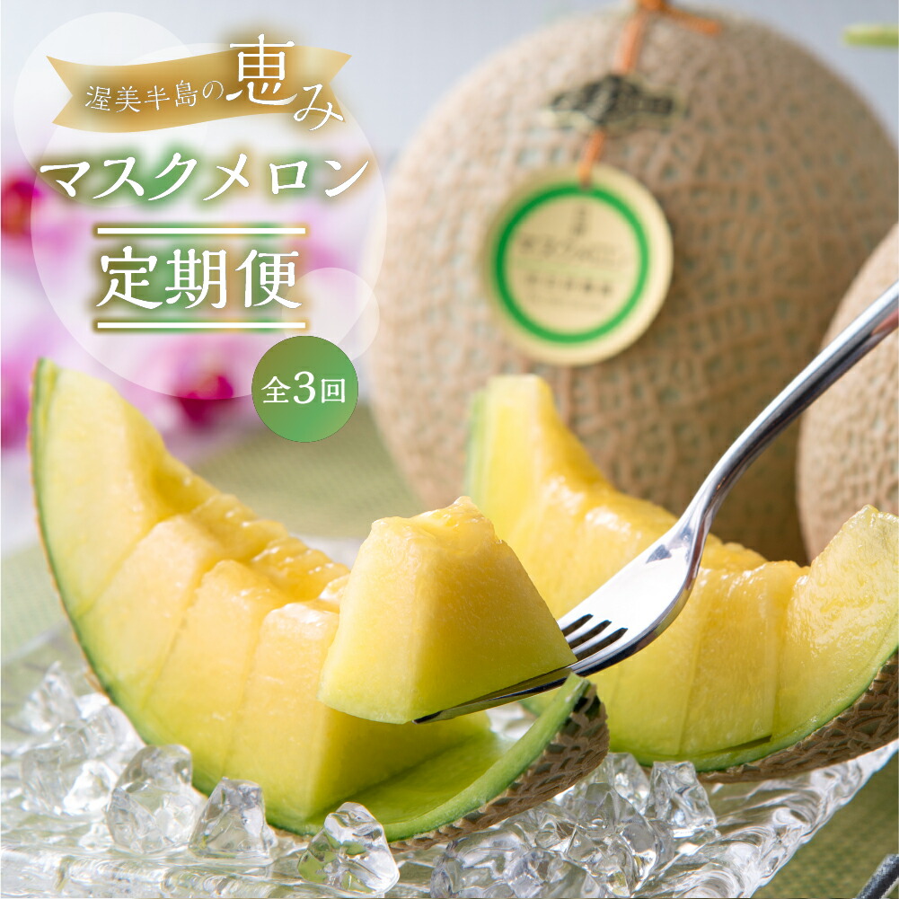 【ふるさと納税】【定期便】先行予約 マスクメロン 3回  伊良湖産 2玉 3Lサイズ 2025年7月スタート  箱詰め メロン フルーツ 果物 お中元 お取り寄せ ギフト 渥美半島 田原市  日研農園 産地直送 送料無料 メロン 糖度 メロン 青肉