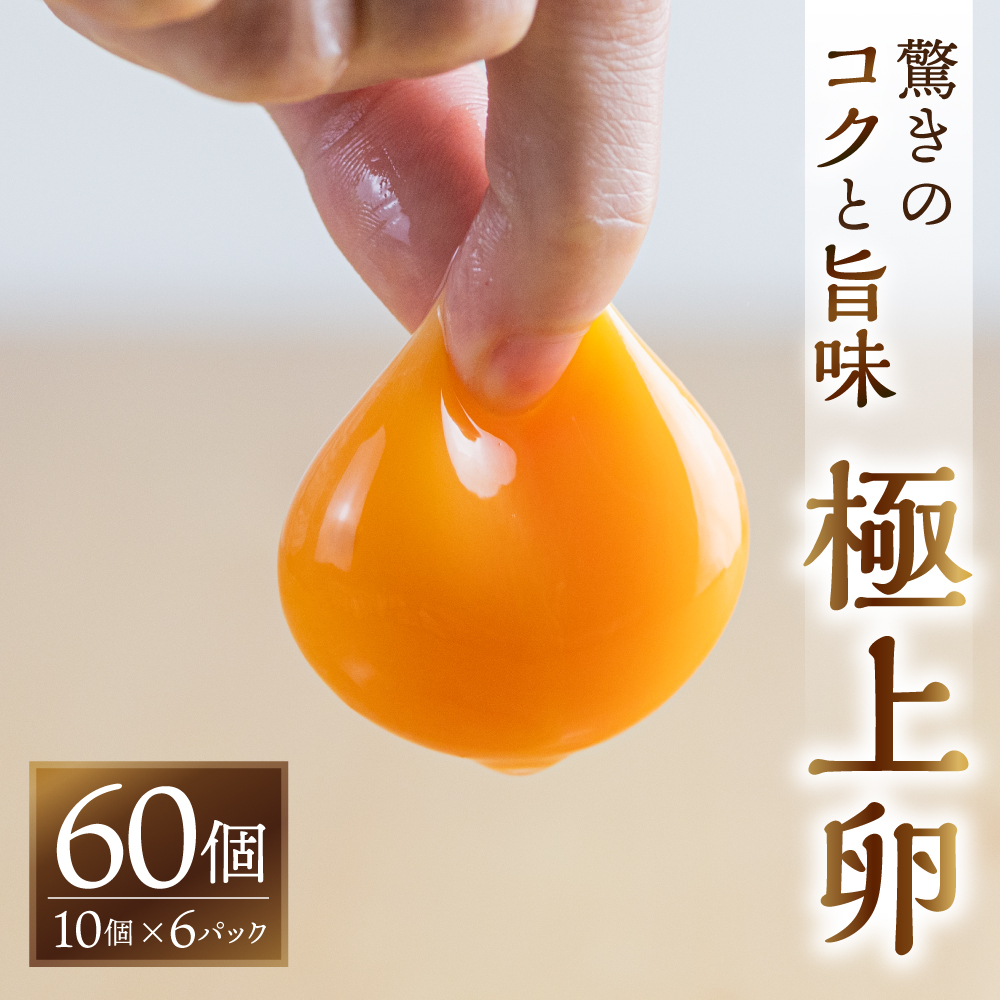 【ふるさと納税】＼高評価★5／ 感動 極上卵 60 個 割れ保証付き たまご カミヤタマゴ たまこちゃん 卵 鶏卵 玉子 たまごかけご飯 お取り寄せ 小分け 生卵 濃厚 高級 定期便 3ヶ月 6ヶ月 12ヶ月  卵料理 玉子 毎月 定期 幻 入手困難 人気 濃厚 60個