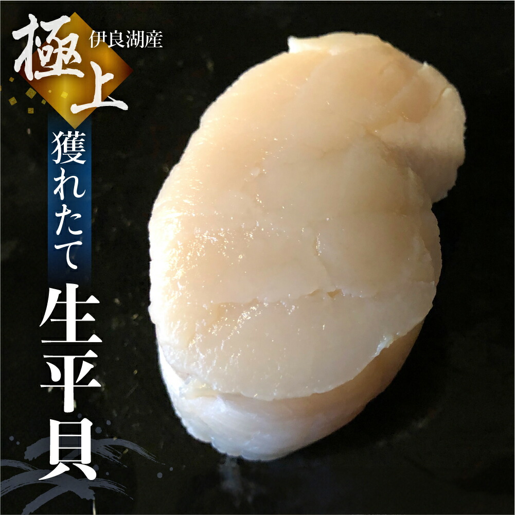 【ふるさと納税】生平貝 3個 獲れたて 新鮮 平貝 タイラガイ 刺身 天ぷら バナー焼き 貝類 魚介 魚貝類 愛知県 田原市 三河湾