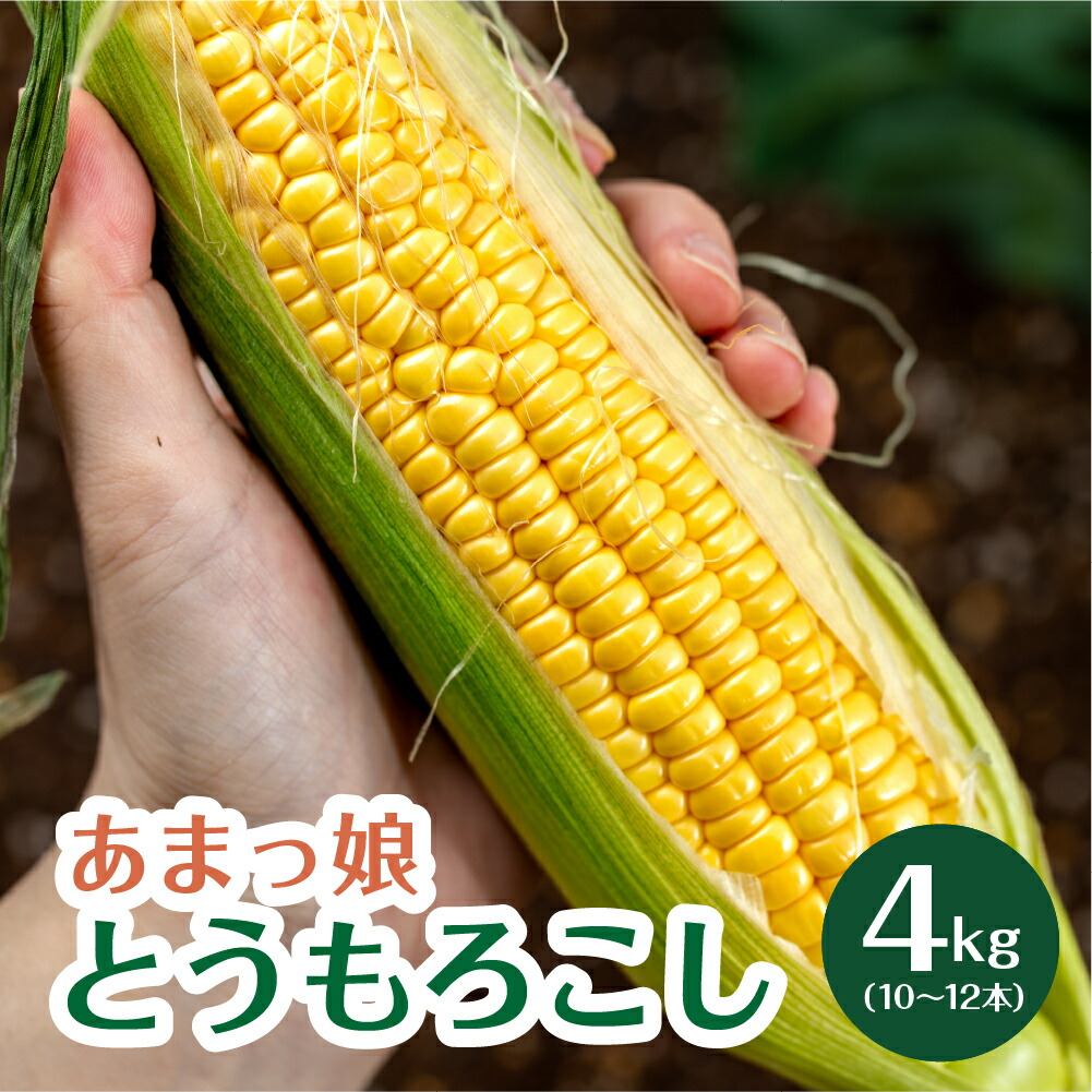 【ふるさと納税】あまーい  あまっ娘 とうもろこし （10本～12本　4.0kg以上） 産地直送 田原市 送料無料